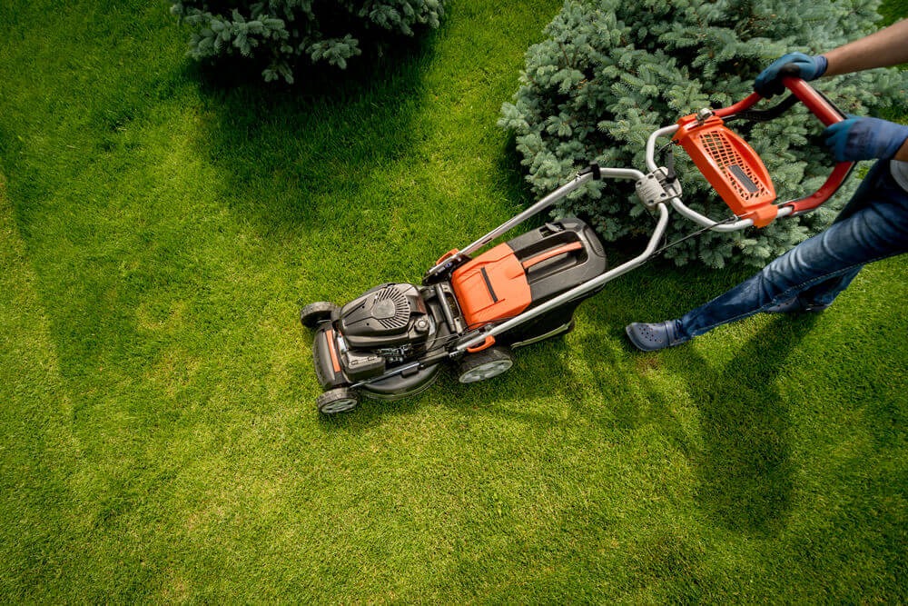 A person mowing the lawn with the Black & Decker Electric Rotary Mower
