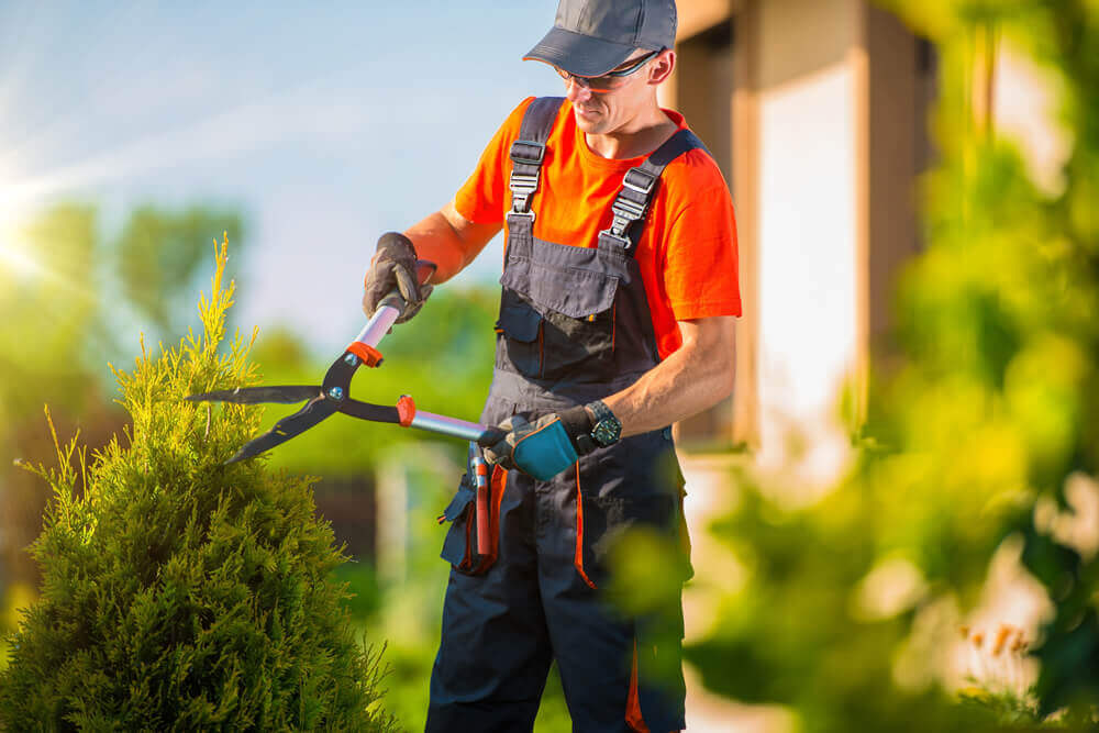 farmer-gardener-garden-landscaping