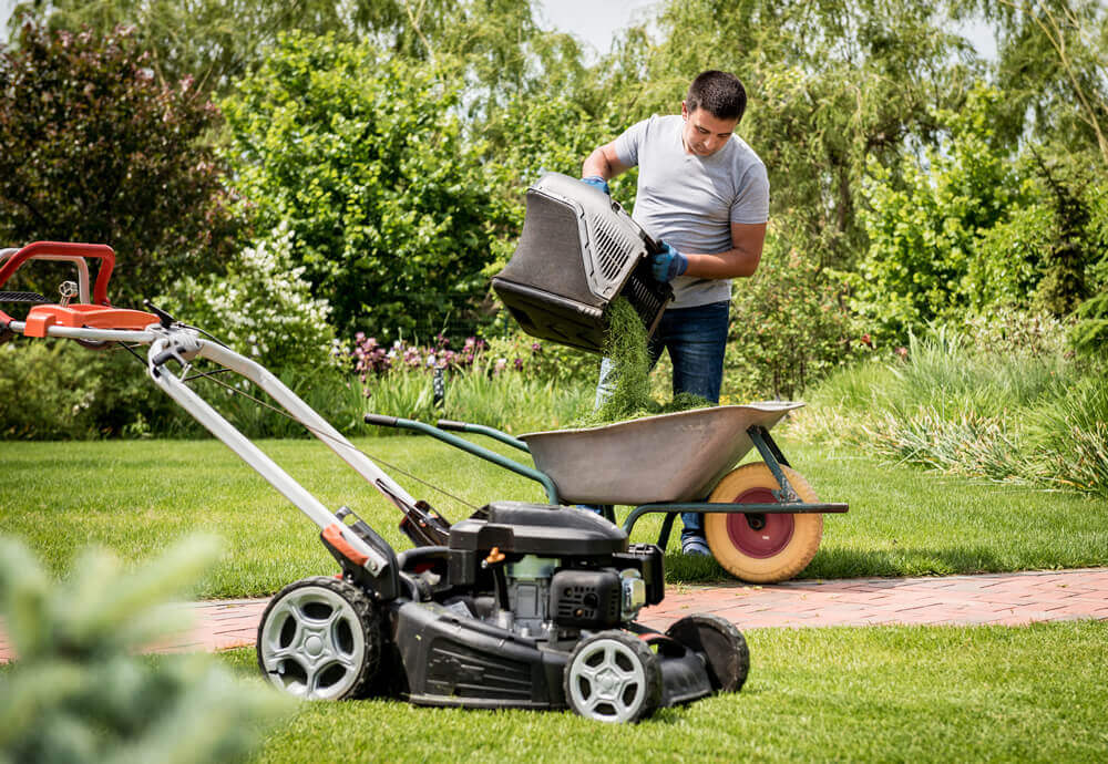 gardener-emptying-lawn-mower-grass-into-wheelbarrow-after-mowing