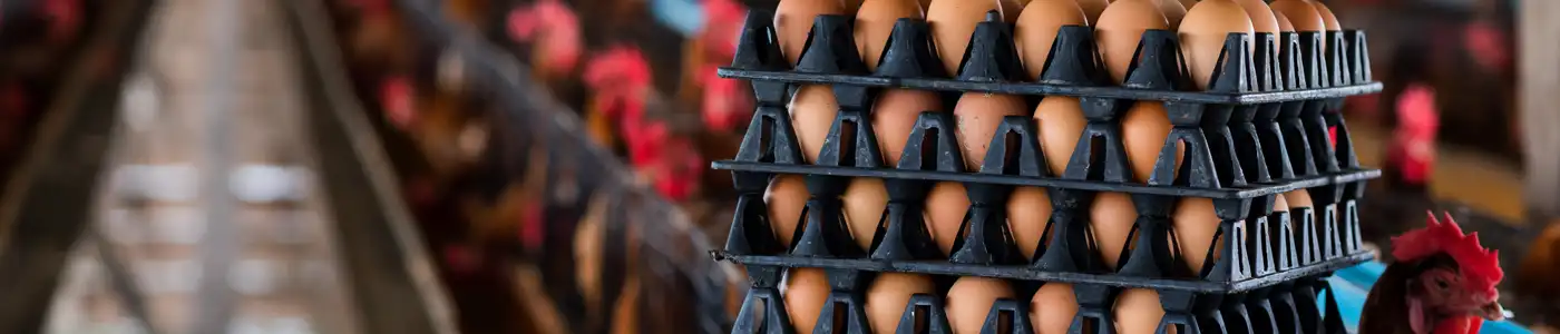 Meat, Fish & Poultry Distributor Insurance