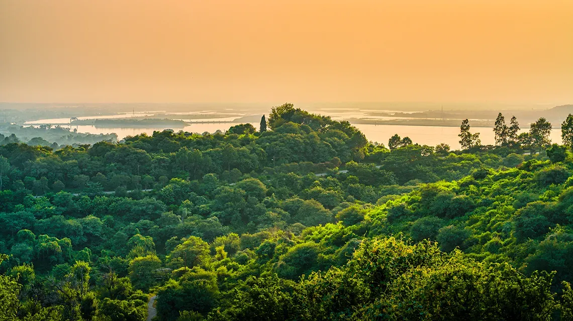 Environmental Insurance: What It Covers and Who Needs It